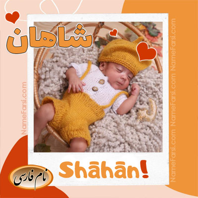 Shahan picture